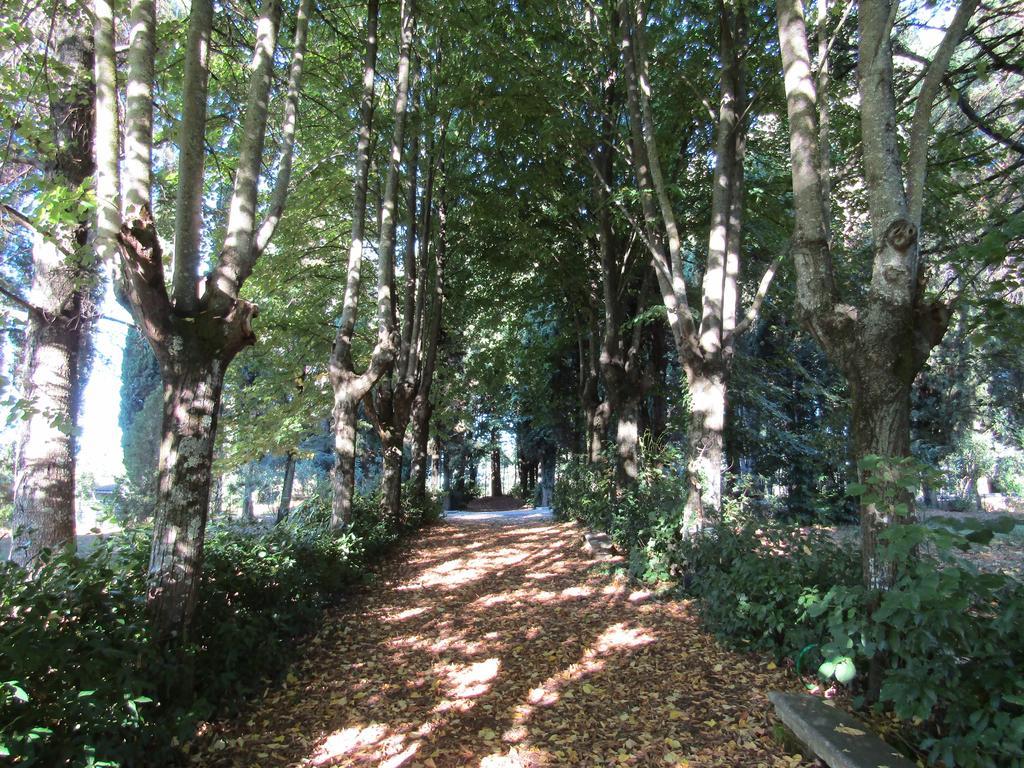 Monastero San Vincenzo - Casa Per Ferie Ξενοδοχείο Bassano Romano Εξωτερικό φωτογραφία