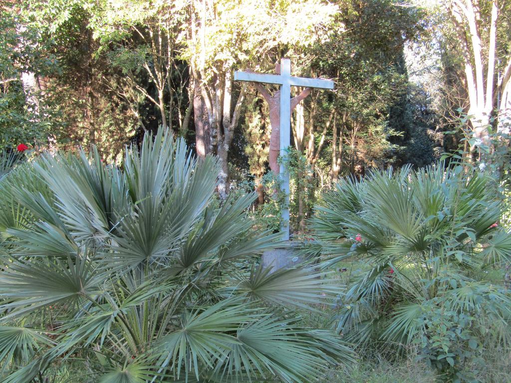 Monastero San Vincenzo - Casa Per Ferie Ξενοδοχείο Bassano Romano Εξωτερικό φωτογραφία