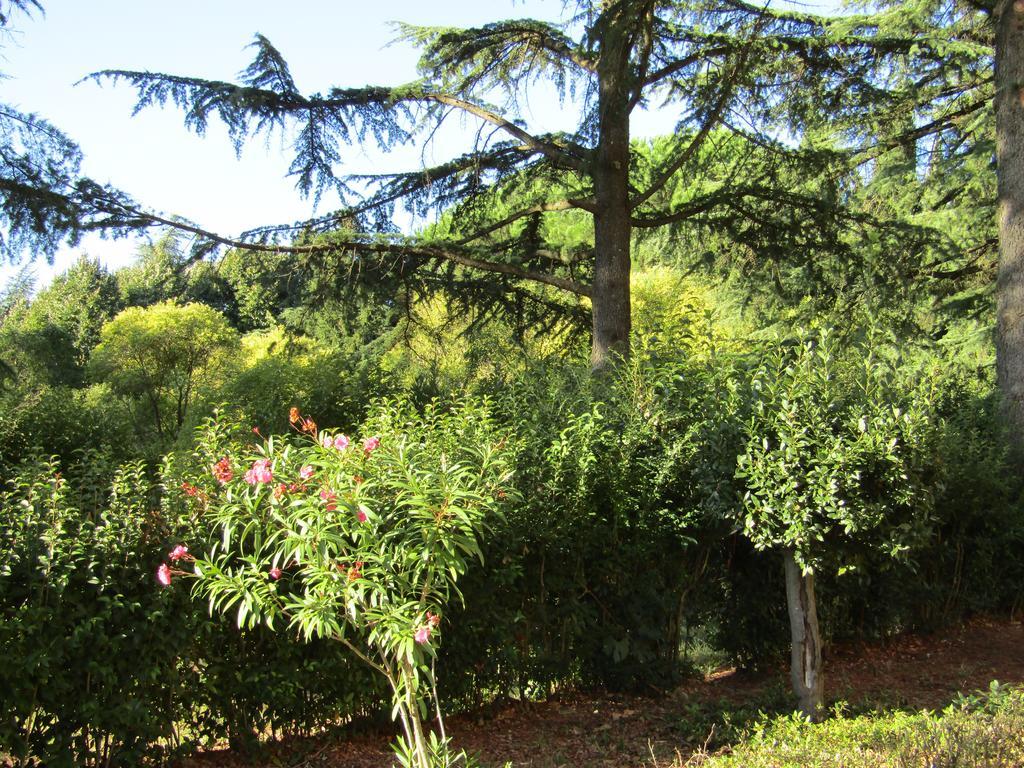 Monastero San Vincenzo - Casa Per Ferie Ξενοδοχείο Bassano Romano Εξωτερικό φωτογραφία